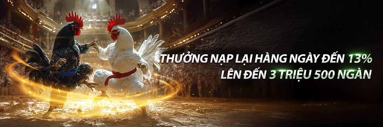 Đá gà trực tuyến kịch tính tại 8live info