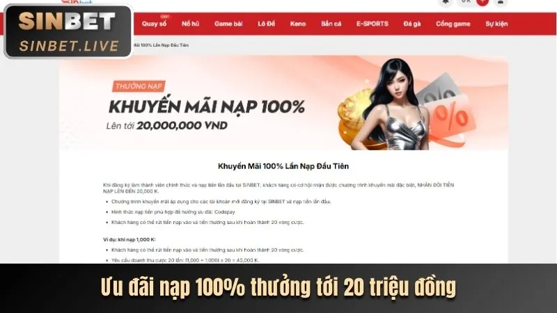 Cá cược thể thao 8live info